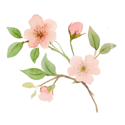 Clipart_Flower_01_LR(2)