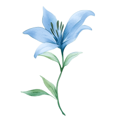Clipart_Flower_02_LR(1)